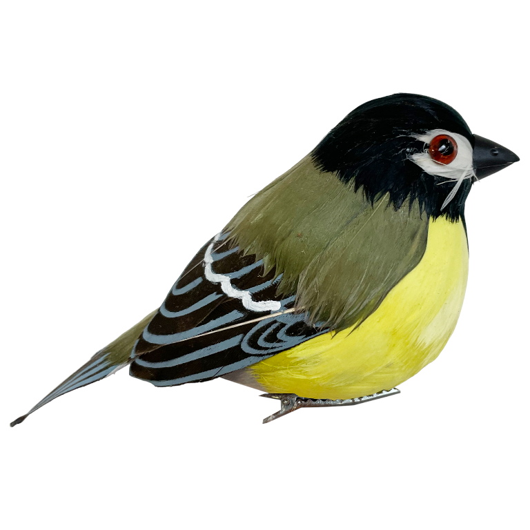 Pajarito Plumas Verde y Amarillo c/Pinza